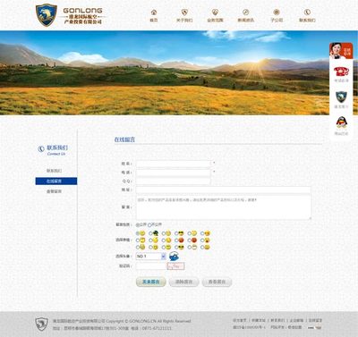昆明港龍國際投資公司網(wǎng)站設(shè)計(jì)
