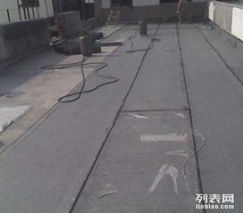 專業防水材料全攻略 守護家庭、廠房、地下室與衛生間的每一寸空間