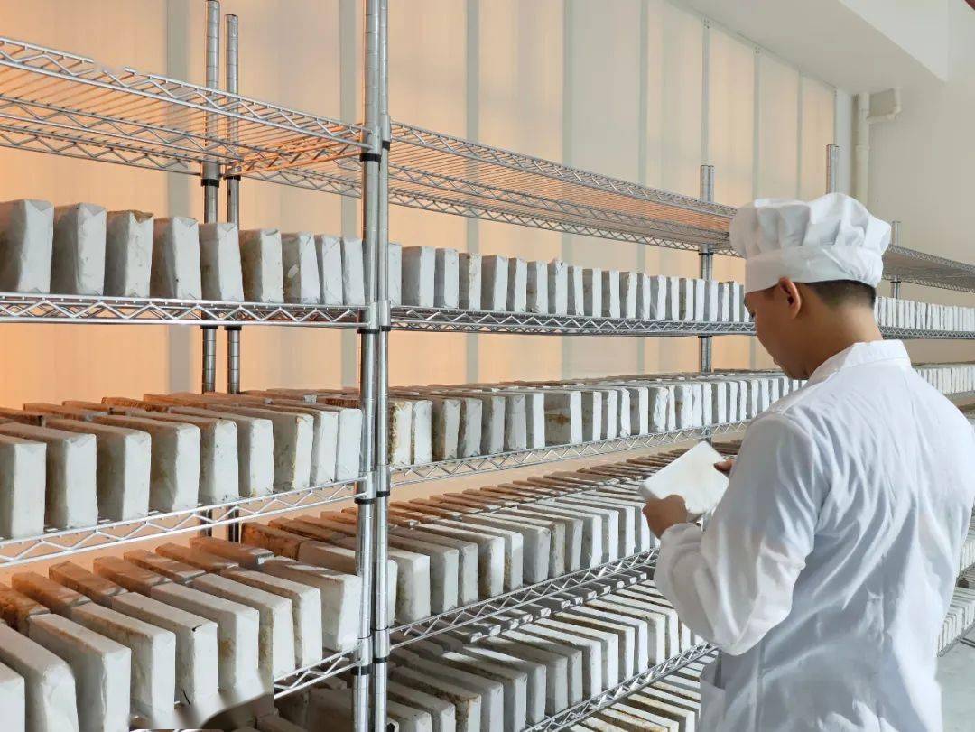 壯大實體經濟 八步區六堡茶項目建成投產，科技賦能賀州茶產業升級