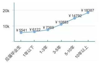 網絡工程 前景廣闊，轉行可期的職業之路