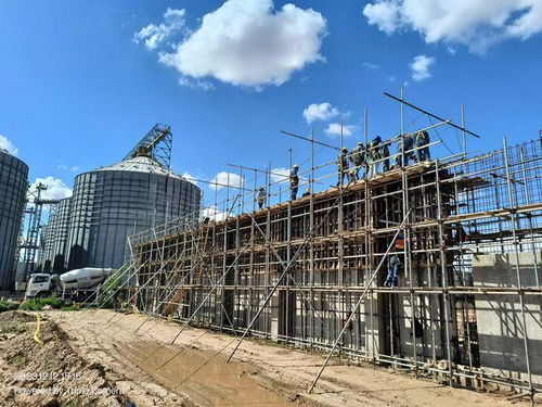 劉曉峰一行蒞臨玻利維亞圣胡利安大豆副產品加工廠項目并慰問員工